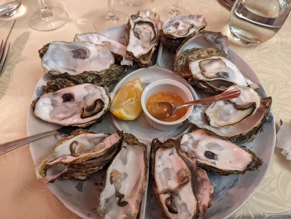 Oysters