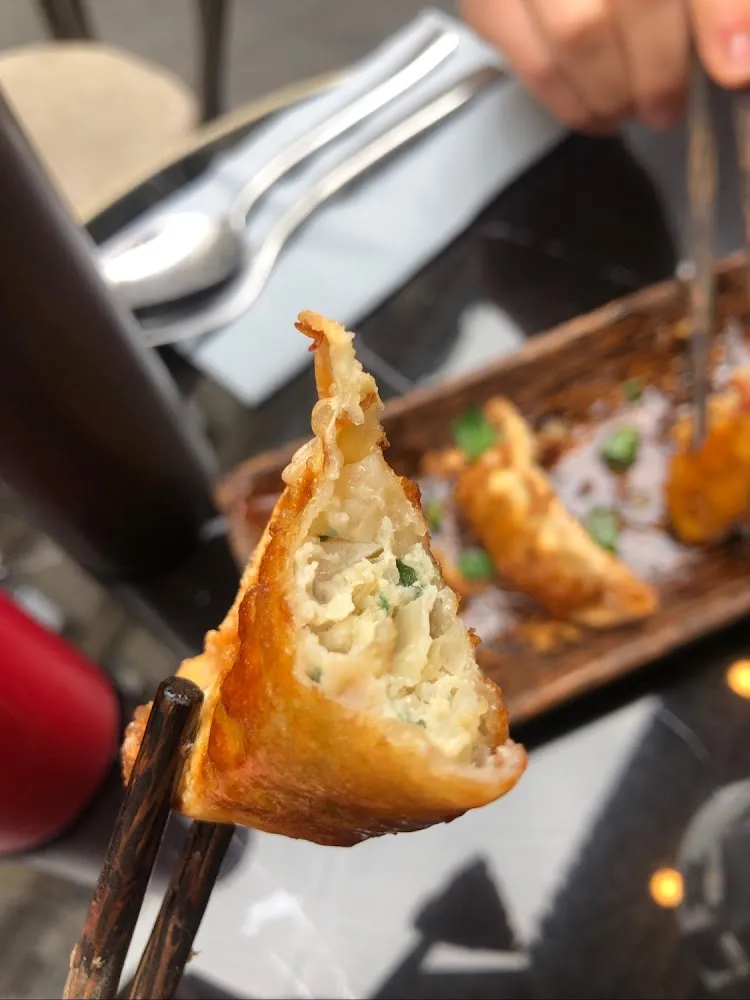 Vegan Dumplings Starter