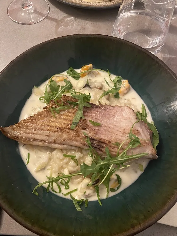 Risotto Aux Champignons Des Bois