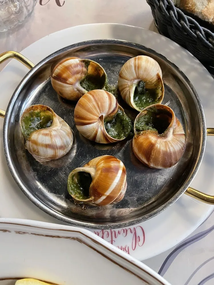 Escargots de Bourgogne Servis En Coquille