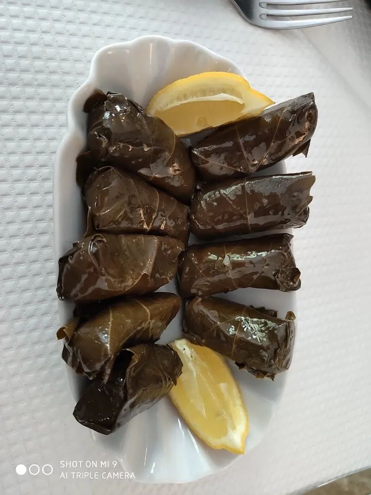 Feuilles de Vigne Farcies