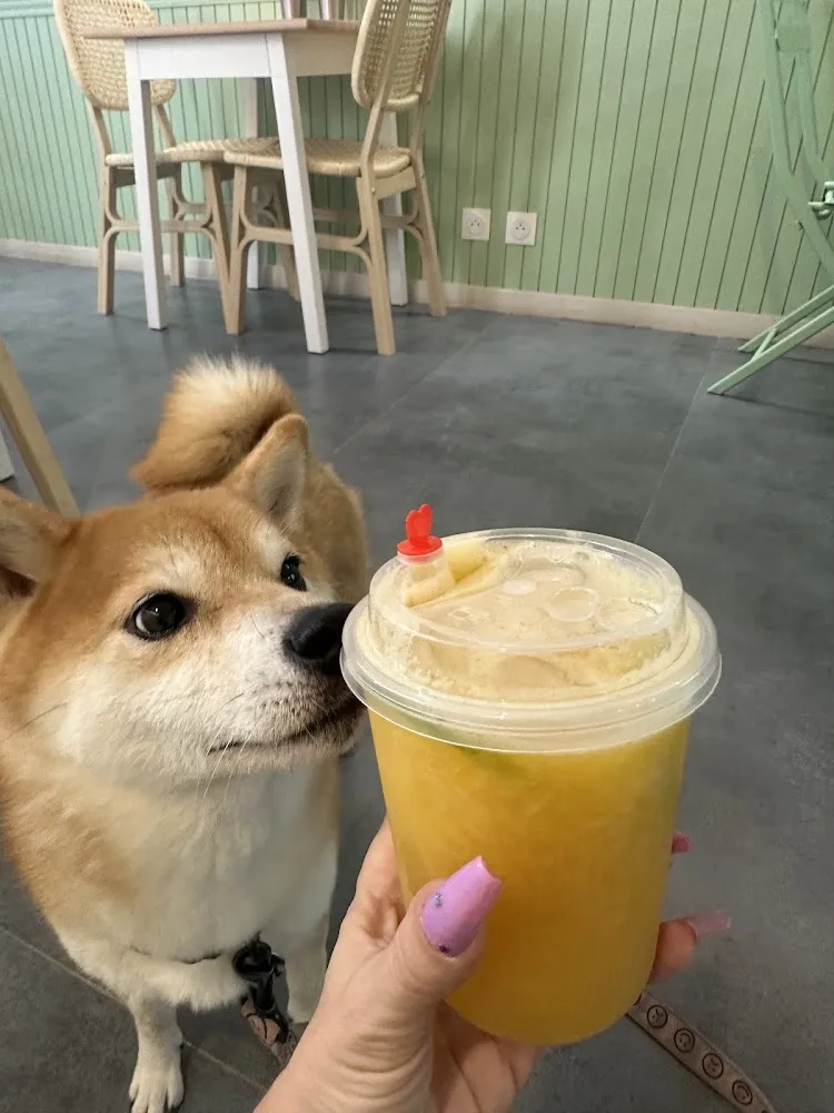 Bubble Tea
