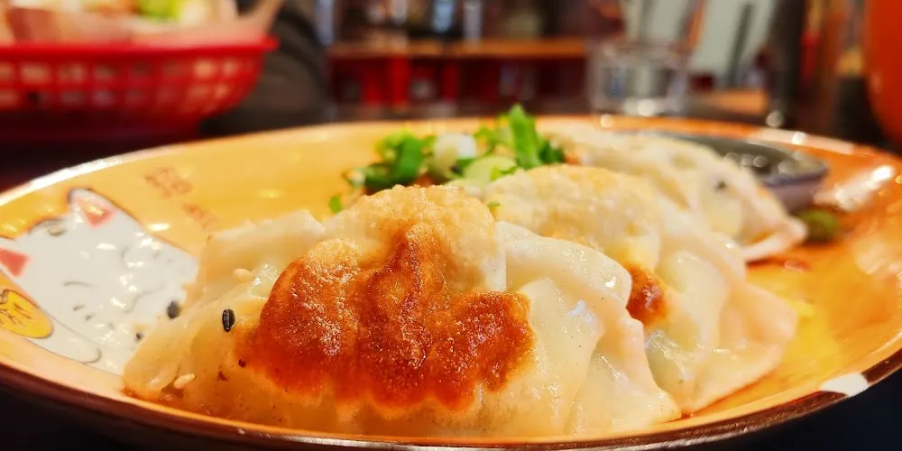 Gyoza
