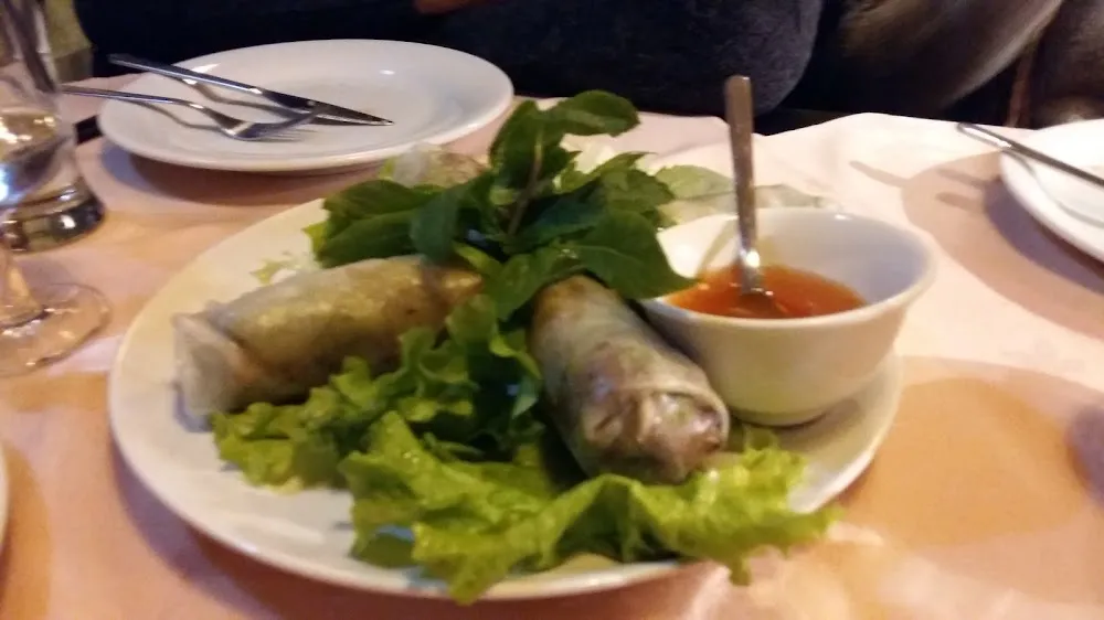 Beef Spring Rolls