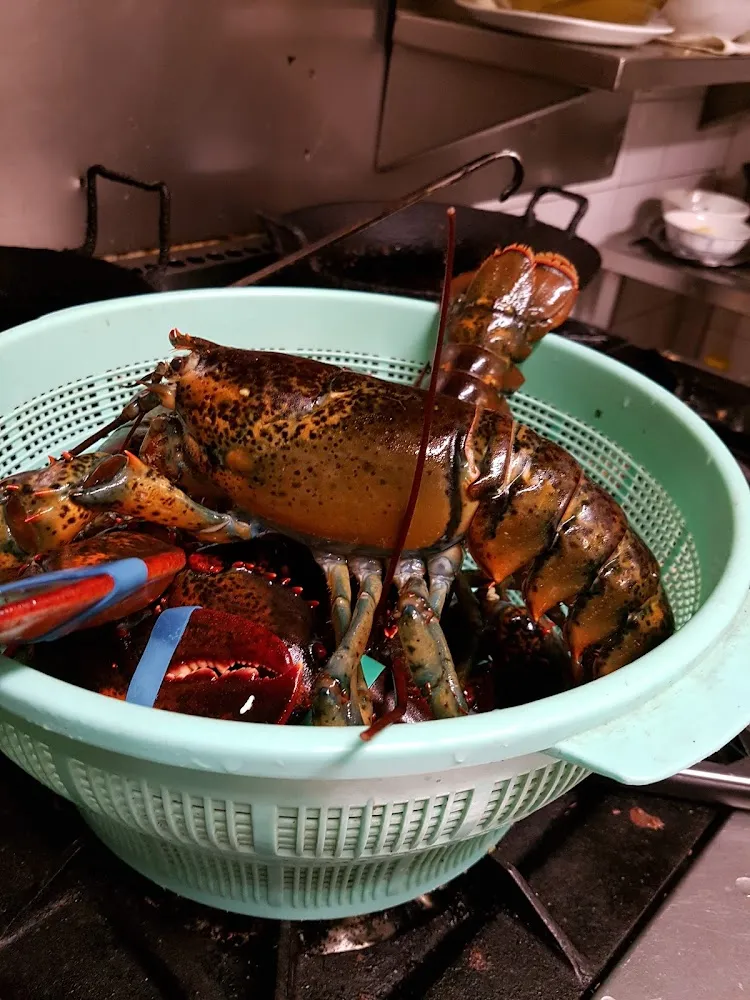 Salade de Papaye Verte Avec Homard Grillé Entier