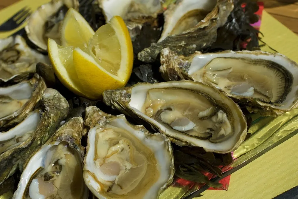 Oysters
