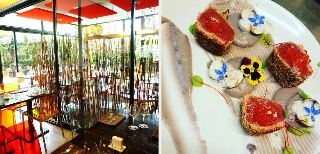 O'Papillon - Photo 2