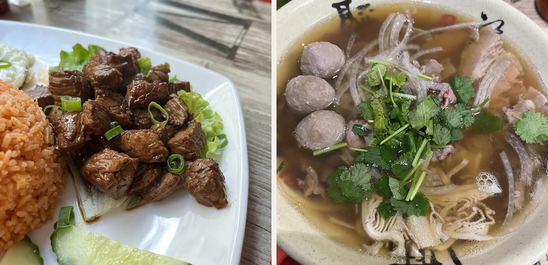 Pho cardinal - Photo 4