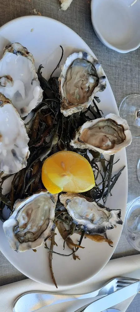 12 Huîtres Creuses n°2 de Jacques