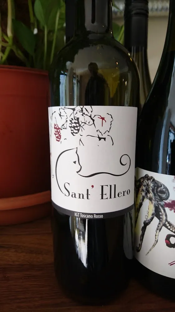 Vin Rouge de Toscane Sant'ellero